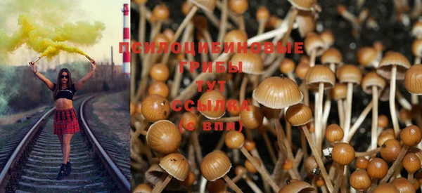 не бодяженный Зеленодольск