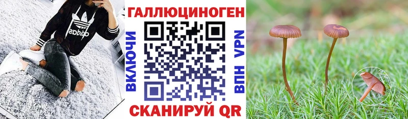 Псилоцибиновые грибы Cubensis  Купить  Малая Вишера 