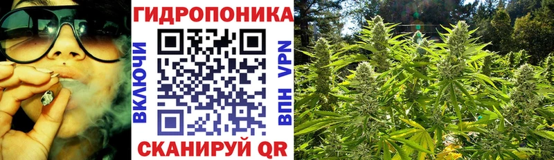 Купить где  Малая Вишера  Бошки Шишки тримм 